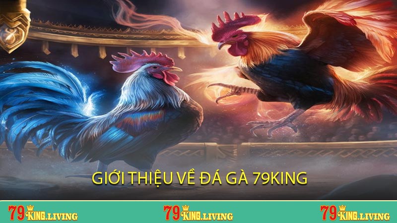 Giới thiệu về Đá Gà 79KING