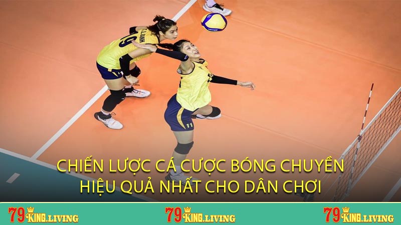 Chiến Lược Cá Cược Bóng Chuyền Hiệu Quả Nhất Cho Dân Chơi