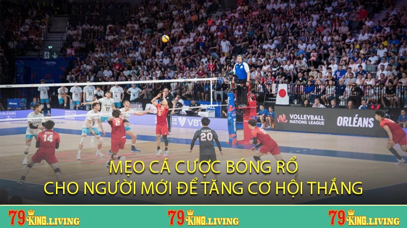 Mẹo Cá Cược Bóng Rổ Cho Người Mới Để Tăng Cơ Hội Thắng